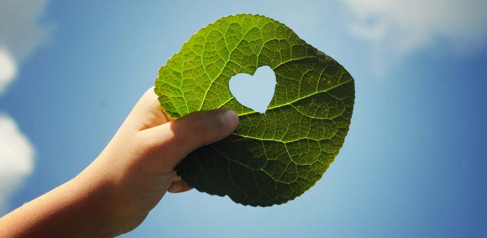 Kinderhand hält Blatt mit ausgestanztem Herz