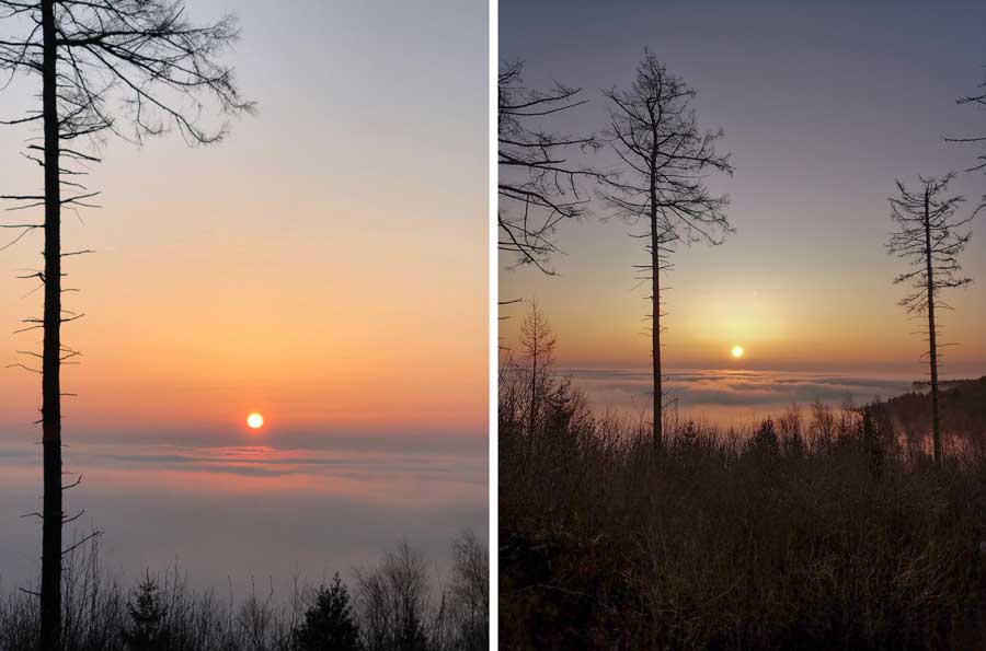 Sonnenaufgang im Wald