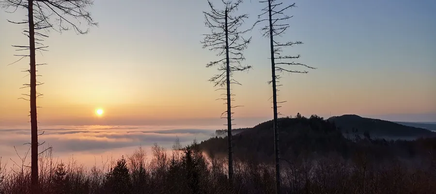 Lichtstimmung mit Kerzen