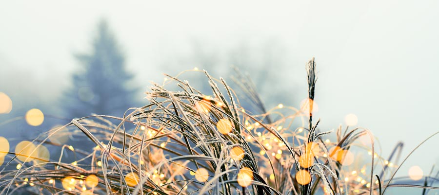Winterlandschaft mit Lichtern