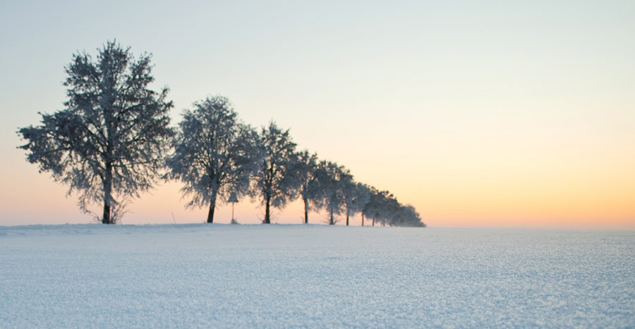 Neujahr