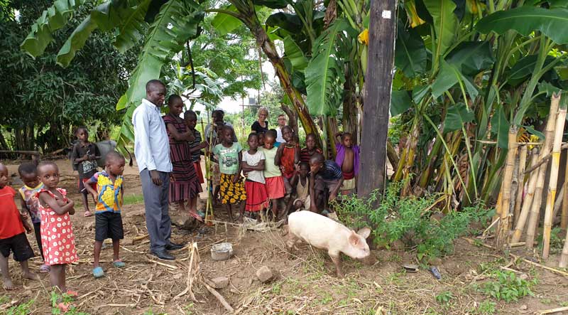 Menschengruppe mit Ferkel