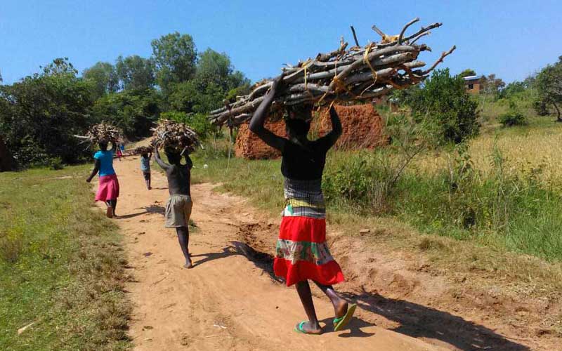 Malawi Projekt Landwirtschaft